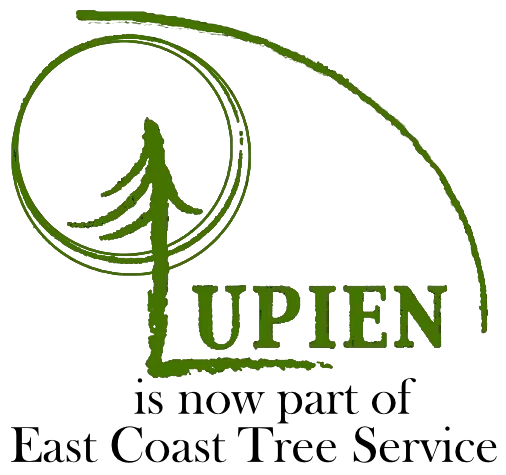 lupien-tree-service-logo.webp